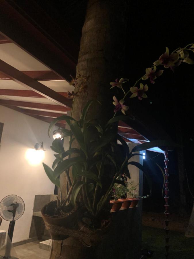 LOHAS Villa Hiriketiya-Air Conditioned Rooms -WiFi Dikwella Dış mekan fotoğraf