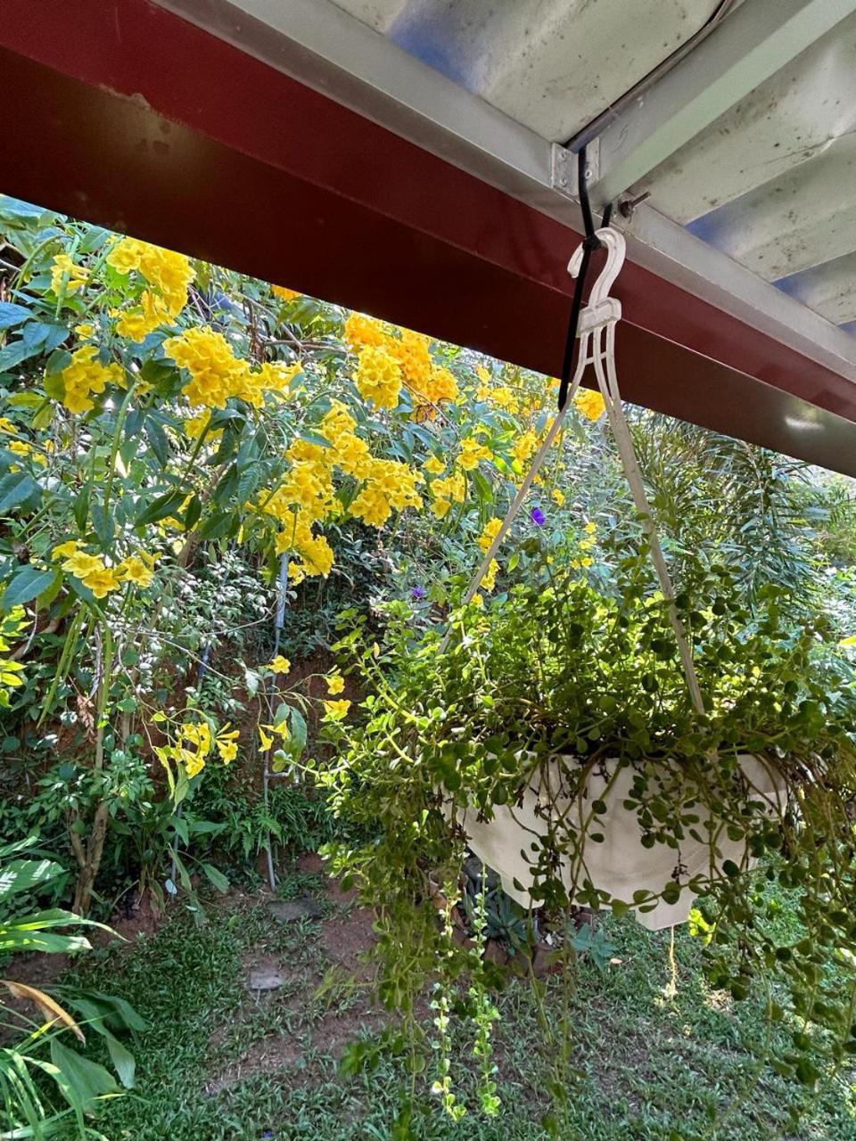LOHAS Villa Hiriketiya-Air Conditioned Rooms -WiFi Dikwella Dış mekan fotoğraf
