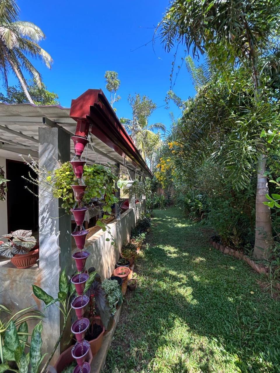 LOHAS Villa Hiriketiya-Air Conditioned Rooms -WiFi Dikwella Dış mekan fotoğraf